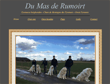Tablet Screenshot of dumasderumoirt.nl